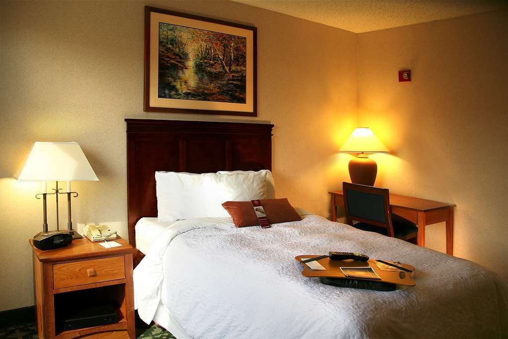 Hampton Inn & Suites Dallas-Mesquite Quarto foto
